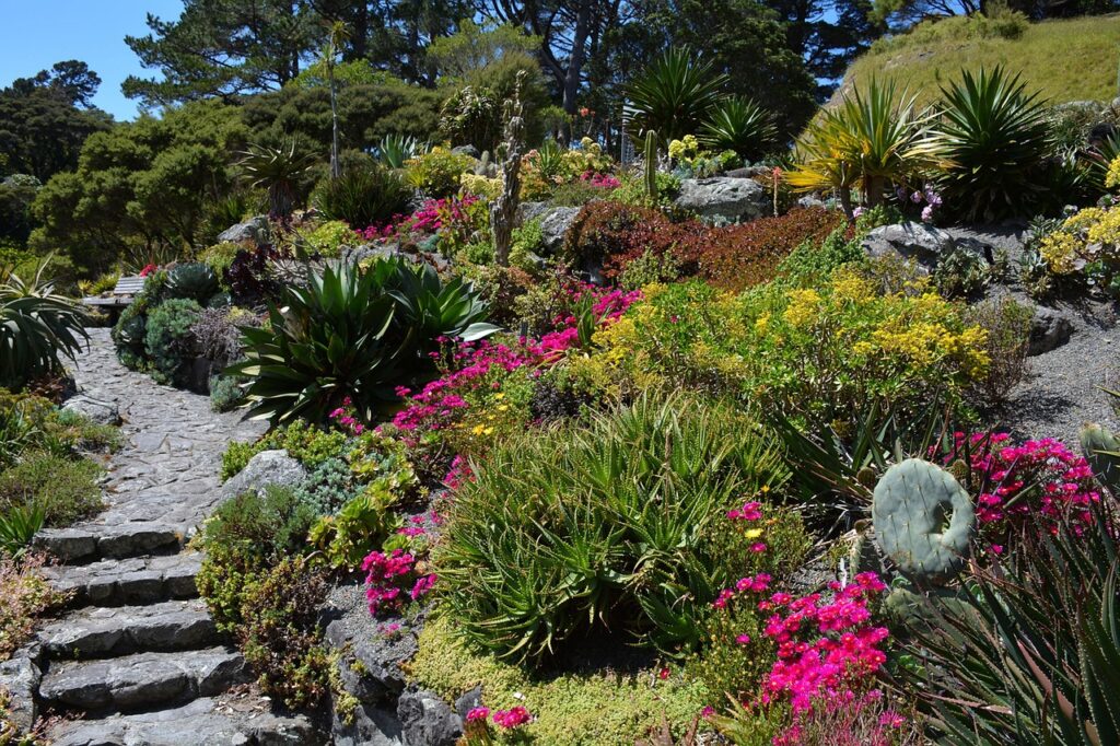 rhododendron